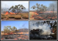 Bushfires, wildfire | Bushfires are comonly in Western Australia of every Australian summer. They can start suddenly, move quickly and affect large areas. We saw wildfire near east of Karijini National Park and feel wildfire near Leeuwin-Naturaliste National Park.