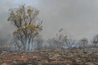 Bushfire | Near Karijini national park