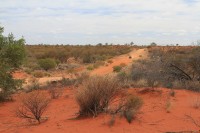 Red sand and dirt road | Near Mimilia