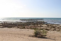 Stromatolit place | Shark bay