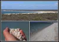 Shell Beach | It consists of small white shells clams stacked on each other at a height of about 10 meters. Crossings are small clams size of about 14 mm, inhabit warm and salty coastal waters. It is reported that on the beach you will find up to 4,000 individuals per square meter. The beach is empty of people and washed by the very shallow waters of the Indian Ocean. Still 300 meters from the water reaches up to the knees.