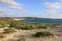 Hamelin bay | Part of Cape to cape track