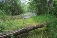 River Creek | Bystraya River