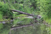 River Creek | Bystraya River