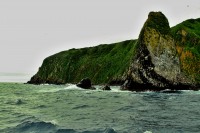 Starichkov island | Avachinsky Bay, Kronotsky Nature Reserve