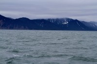 Neare Starichkov island | Avachinsky Bay, Kronotsky Nature Reserve