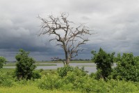 Cloud ond thy sky above Kwando river | The rain is about to come