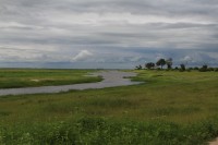 Kwando river | National park Chobe