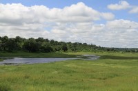 Chobe river - border | Near Ngoma bridge, Botswana, Namibia