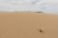 Dune in Cape range | National park