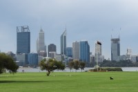 Perth city | High-rise buildings in the city center