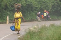 Transport on the borther | Goods transport, Zimbabwe, Zambie
