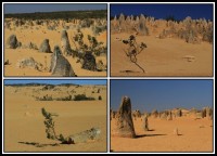 The pinacles desert | Ancient desert sculptures, Nambung National Park