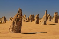 The pinacles desert | Weathered rock spires, Nambung National Park