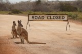 Western Australia - January 2015