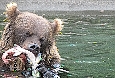 Kamchatka